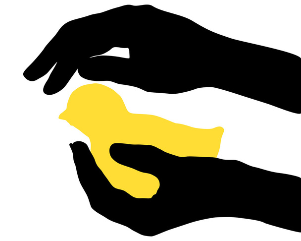 handen met kuiken - Vector, afbeelding