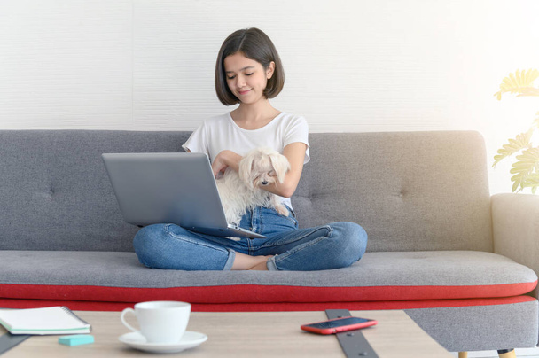 Beautiful young asian woman working on sofa at home with her maltese dog, Cheerful and nice couple with people and pet - Photo, Image