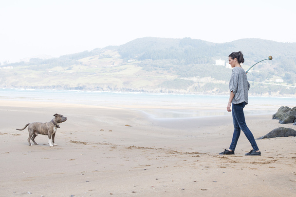 Mujer jugando y entrenando perro en la playa
. - Foto, imagen