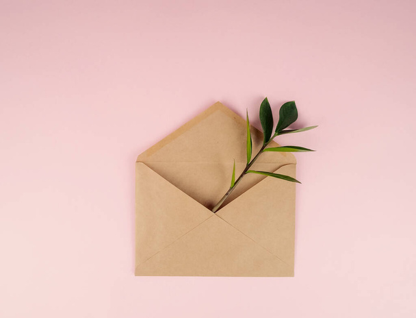 Kraft envelope on a pink background, in the envelope a branch of a green plant. Minimalism. - Фото, изображение