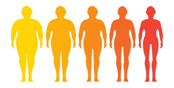 Siluetas de una figura masculina con un índice de masa corporal diferente. Perder peso. Cuerpo con diferente peso.  - Vector, imagen