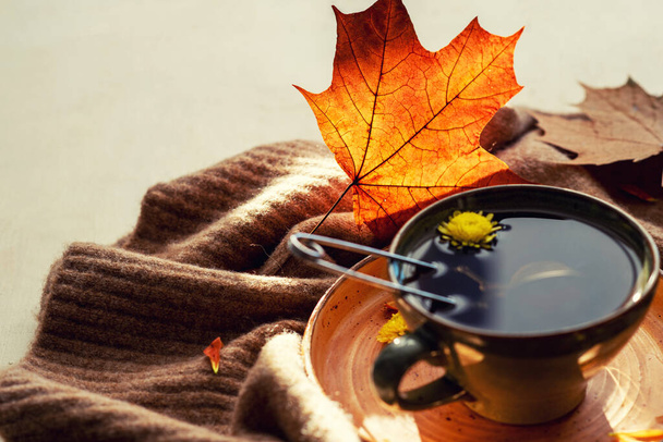 Bright autumn composition with sunbeams. A cup of herbal tea, a warm scarf, dried leaves on a rustic background. Autumn, fall concept. Flat lay, top view, copy space. Tinted image. - Foto, Imagem