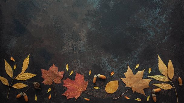 Flores de outono e folhas de composição com espaço de cópia. Quadro feito de folhas secas de outono no fundo escuro. Deitado plano, vista superior. Imagem tonificada. - Foto, Imagem