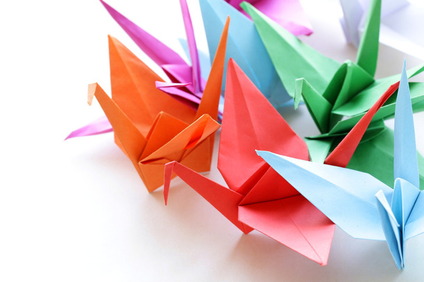 Oiseaux origami en papier coloré sur fond blanc
 - Photo, image
