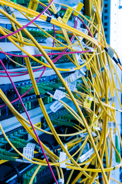 gros plan des câbles à fibre optique connectés au hub du serveur - Photo, image