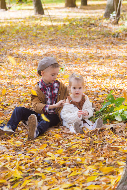 Le frère aîné et la petite sœur marchent et rient dans le parc d'automne. Famille et enfants. Humeur d'automne - Photo, image