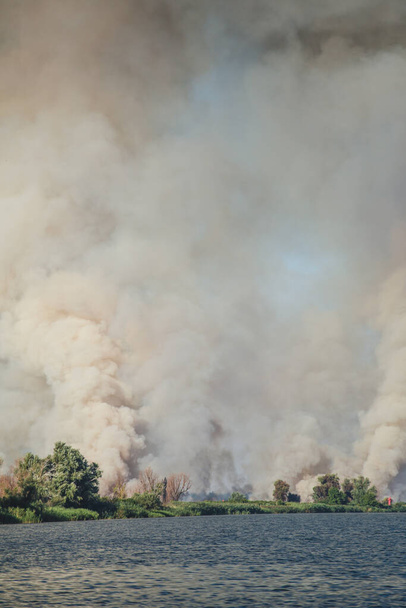 Nagy füstfelhők, futótűz, természeti katasztrófa, erdőtüzek, ökológiai katasztrófa. - Fotó, kép