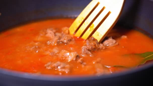 Cooking stew close-up in sauce. Hungarian cuisine is goulash. slow motion - Footage, Video