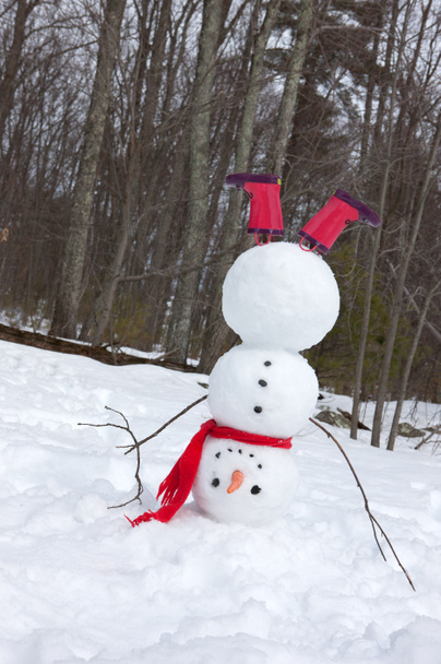 Сніговик headstand
 - Фото, зображення
