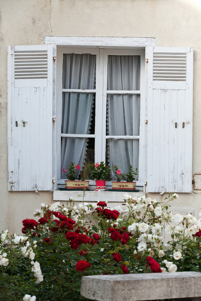 Fenêtre blanche avec fleurs de géranium et roses
 - Photo, image