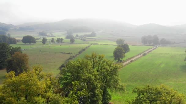 Ağaçlar ve çayırlar hava manzarası. Alava, Bask Ülkesi, İspanya, Avrupa. 4K - Video, Çekim