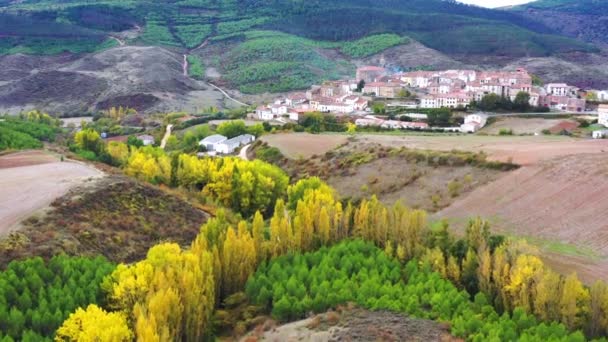 Sonbaharda ve köyde kavak ağaçlarının havadan görünüşü. Torralba del Rio. Navarre, İspanya, Avrupa. 4K. - Video, Çekim