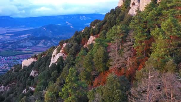 Luftaufnahme eines Eichenwaldes in einem Hang. Montejurra. Navarra, Spanien, Europa. 4K. - Filmmaterial, Video