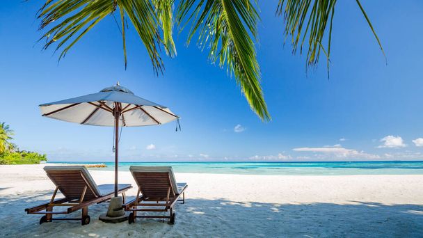 Tropická pláž pozadí jako letní krajina s lehátky a palmami a klidné moře pro plážový prapor. Bílý písek a kokosové palmy cestovní ruch široký panorama pozadí koncepce. Úžasná plážová krajina. Luxusní ostrov resort dovolená - Fotografie, Obrázek