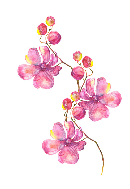 Orchid Garland. - Photo, image