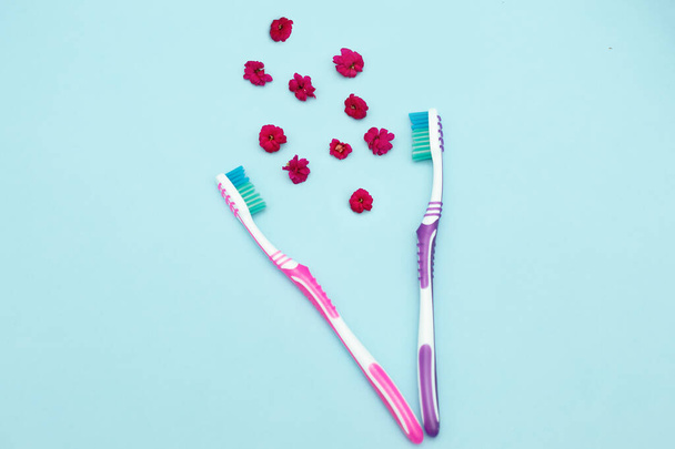 Fresh breath concept. Two toothbrushes on a blue background, the relationship of a couple, between them the aroma of flowers on a blue background. Photo close-up. - Photo, Image