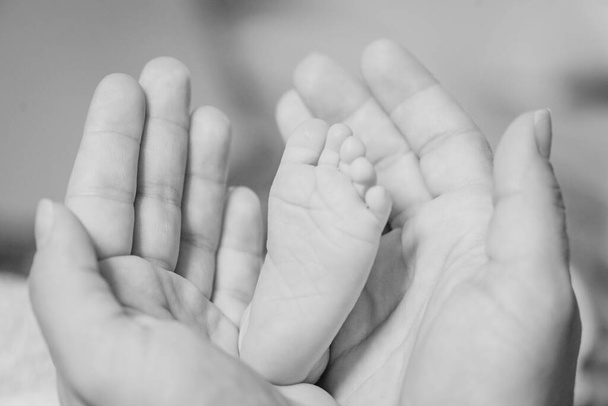 Detail novorozeného palce mezi matčinýma rukama v černobílém - Fotografie, Obrázek
