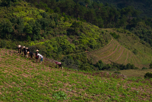 Зелена природа Гірське господарство в Азії, В'єтнам, з невеликою хатиною повністю природною любов'ю де фермери працюють навколо, сільське життя в Південній Азії. - Фото, зображення