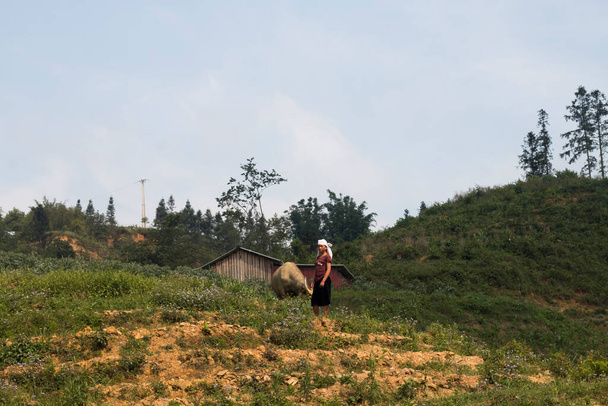 Green Nature agriculture étape de montagne en Asie, Vietnam, avec petite cabane entièrement amour de la nature où les agriculteurs travaillent autour, la vie à la campagne en Asie du Sud. - Photo, image