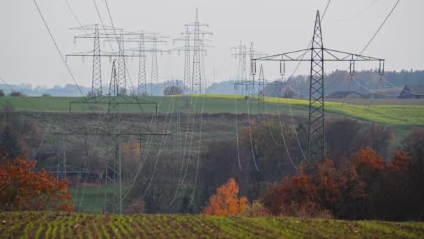 Grandes torres de transmissão no campo. Diferentes tipos de postes de eletricidade no campo.  - Filmagem, Vídeo