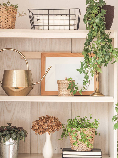 Houseplants and home decor on wooden shelves. Modern room decor. Front view. - Φωτογραφία, εικόνα