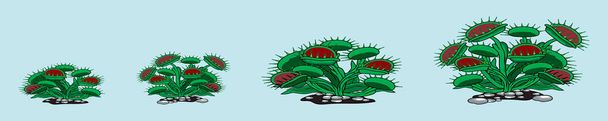 Dionaea muscipula çiçeği seti. Çeşitli modellerle karikatür ikonu tasarım şablonu. modern vektör illüstrasyonu mavi arkaplanda izole edildi - Vektör, Görsel