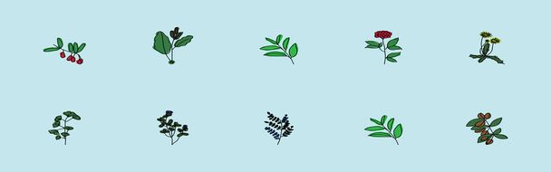 set di foglie di ginkgo biloba verde. moderno modello di icona del cartone animato con vari modelli. illustrazione vettoriale isolata su sfondo blu - Vettoriali, immagini