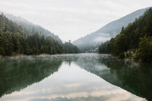 Dağ gölünde sisli bir sabah - Fotoğraf, Görsel