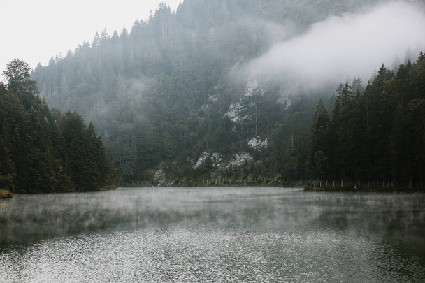 霧の山の湖で早朝 - 写真・画像