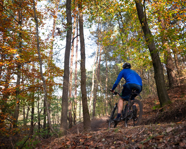 homem em mountain bike em trilha na floresta de outono perto de zeist nas terras baixas - Foto, Imagem