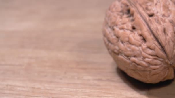 Close-up walnut. A dense shell. 4K video. Super macro. - Footage, Video