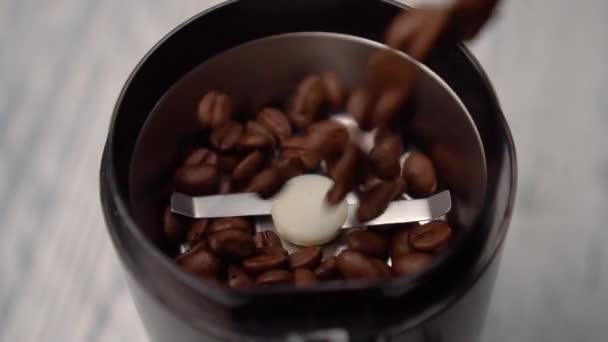 Freshly roasted coffee beans fall into the electric coffee grinder. Metal stainless blades. Closeup - Video, Çekim