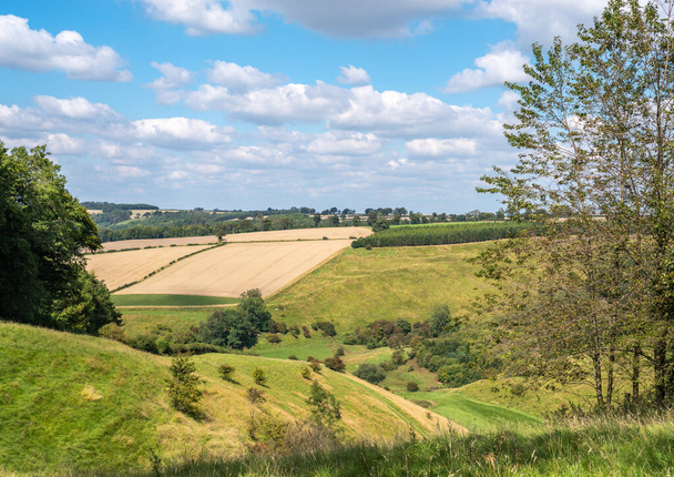 Widok na głęboką zieloną dolinę z błękitnym niebem i białymi chmurami w Yorkshire Wolds - Zdjęcie, obraz