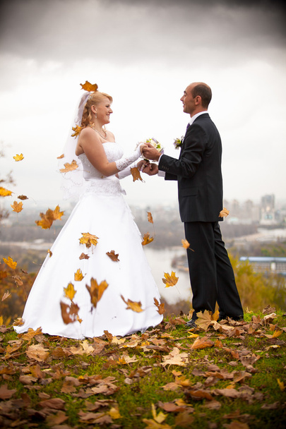 małżeństwo, trzymając się za ręce na jesień wietrzny dzień - Zdjęcie, obraz