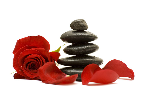 Червона квітка і чорні камені ізольовані
 - Фото, зображення