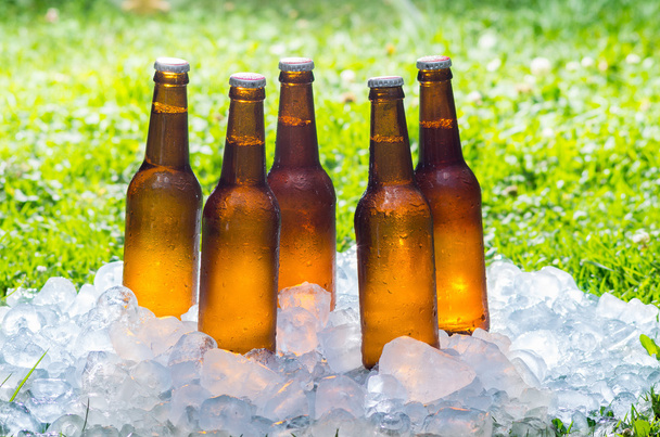 Beer in a pile of ice outside - Foto, Bild