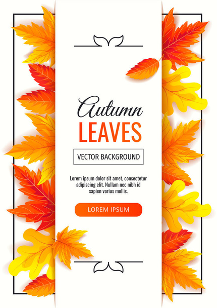 Banner de outono com folhas de árvore caídas de laranja - Vetor, Imagem