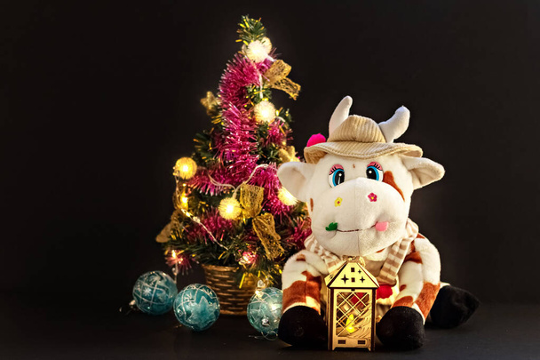 White soft toy bull on a dark background with a Christmas tree and garlands, New Year's card. Chinese Year of the Ox, zodiac symbol 2021. - Photo, Image