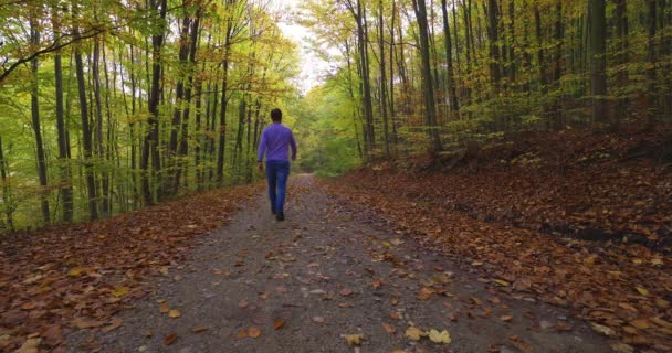 muž kráčí podzimním lesem - Záběry, video
