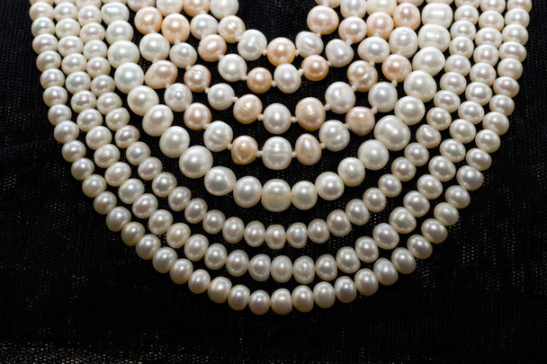 Pearl beads - Photo, Image