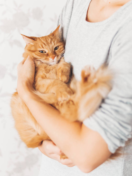 Woman cuddles her cute ginger cat. Fluffy pet looks pleased and sleepy. Fuzzy domestic animal. Cat lover. - Fotografie, Obrázek
