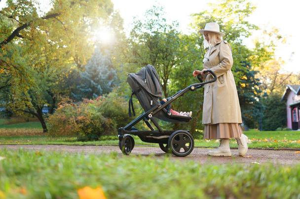 Μητέρα με καροτσάκι μωρού στο πάρκο - Φωτογραφία, εικόνα