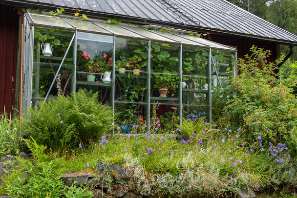 будинок з прикріпленою теплицею і вирощеним садом
 - Фото, зображення