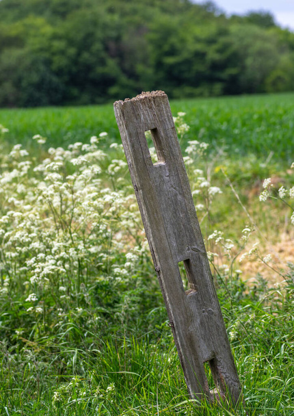 An old wooden fence post with holes in and leaning over with field and meadow in the background. - Foto, Bild
