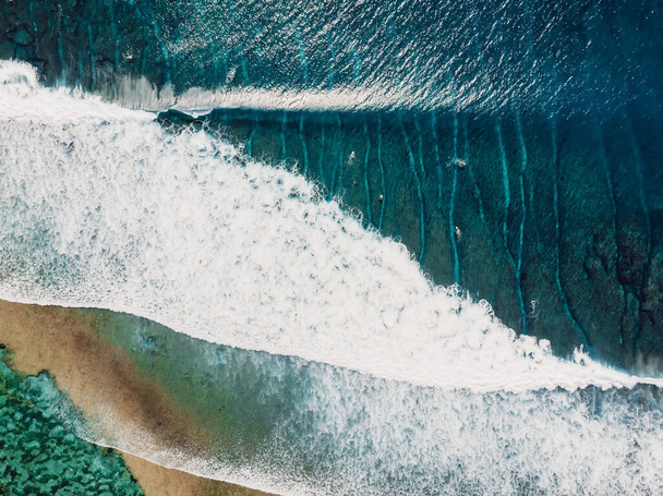 Aerial view of a surfers in blue ocean with waves. Top view - 写真・画像