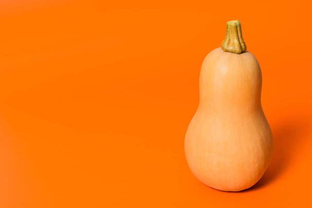 A closeup of a pumpkin on orange background - Zdjęcie, obraz