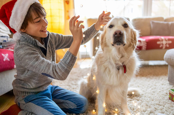 男の子と彼の犬は自宅で一緒にクリスマスを楽しんで  - 写真・画像