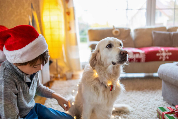 Boy and his dog enjoying Christmas together at home  - 写真・画像