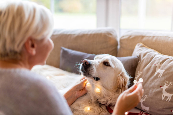 Woman and her dog enjoying Christmas together at home  - Photo, image