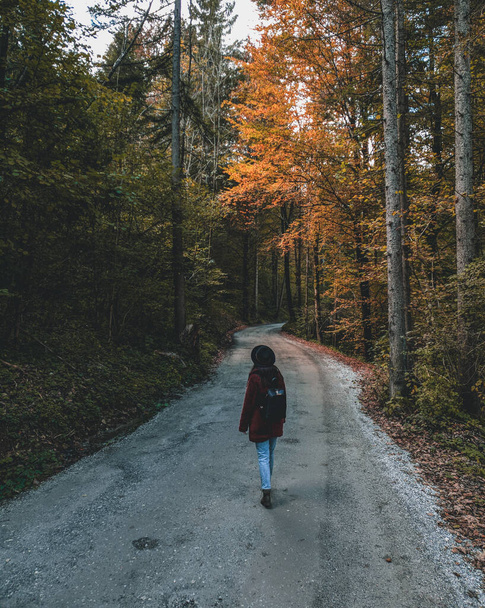 a vertical shot of a  girl walking down the forest road - Fotoğraf, Görsel